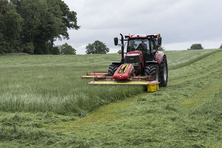 red, tractor mowing grass field, daytime, Lawn Mowing, Tractor, Farmers, mow, haymaking, farmer, agricultural