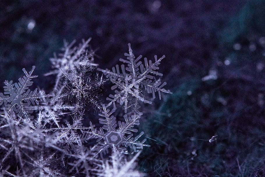 snow, flake, macro, winter, holiday, background, ice, detail, abstract, weather