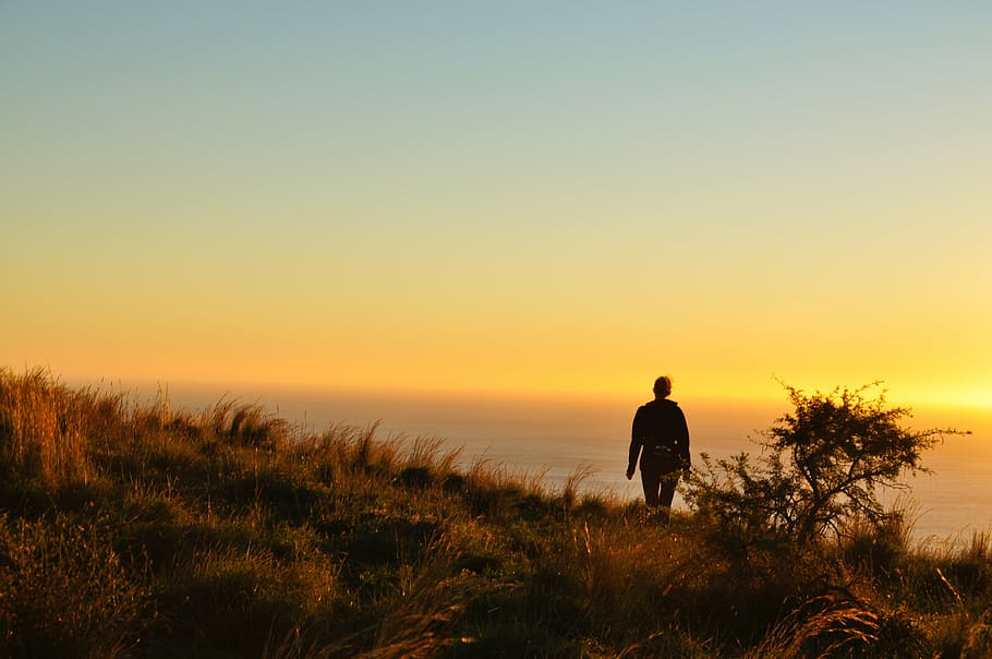 man, standing, cliff, person, near, grasses, facing, seashore, sunset, sky