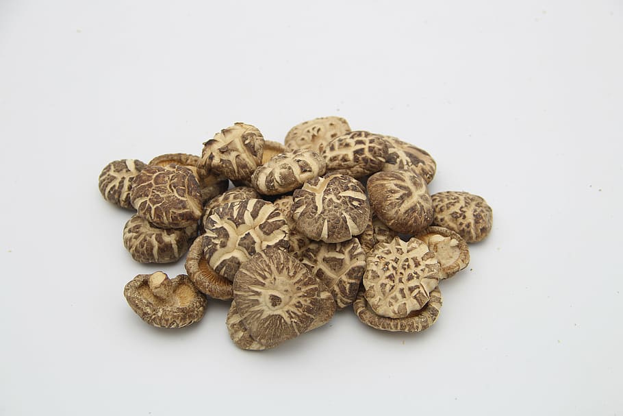brown stones, shiitake mushroom, mushroom, food and drink, white background, food, studio shot, indoors, medicine, herbal medicine