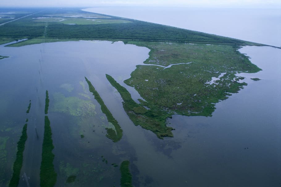aerial, view, louisiana wetland habitats, Aerial view, Louisiana, wetland, habitats, photos, nature, public domain