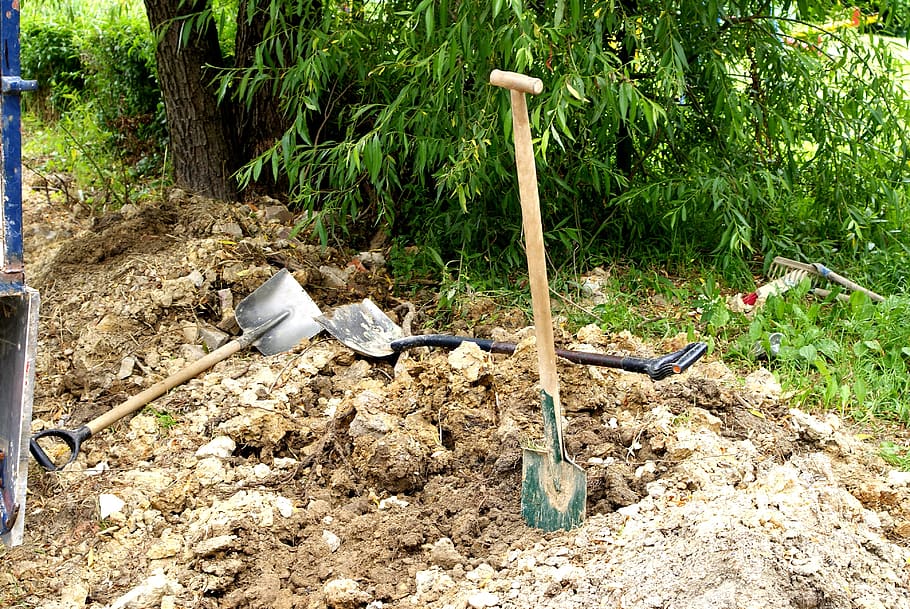 shovels, earth, layout, work, green, tree, mud, shovel, nature, foliage