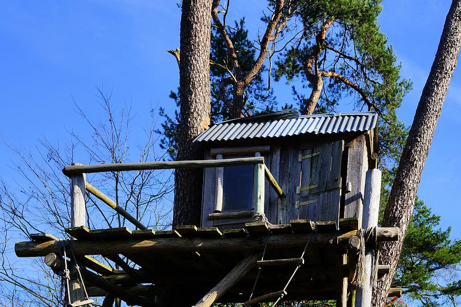 gray, wooden, house, tree, treehouse, nature, tree hut, wood, play, retreat