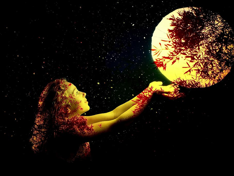 girl, full, moon, starry night, a journey of discovery, darkness, nature, background, silhouette, night