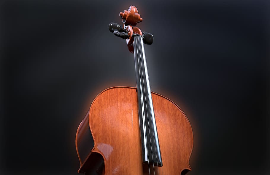 ilustrasi cello, cello, string, alat musik petik, kayu, instrumen, musik klasik, alat musik, coklat, klasik