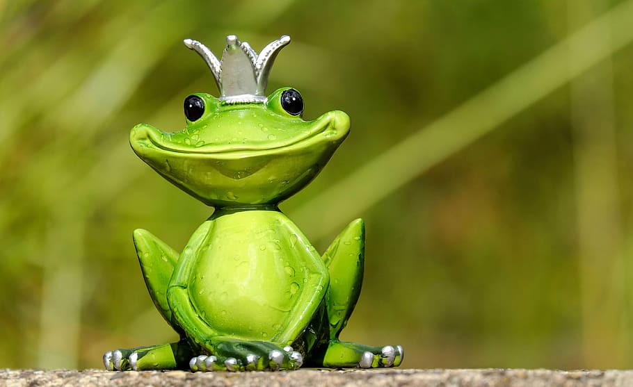 verde, figurilla de la rana real, cerca, foto, rana, figura, rey, lindo, divertido, dulce