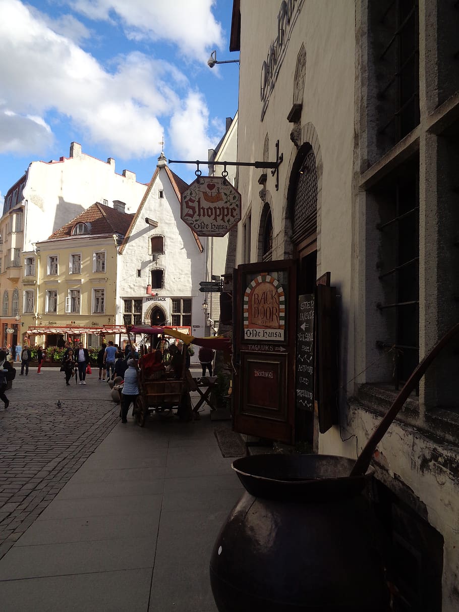 Tallin, Estonia, arquitectura, ciudad, paisaje, cielo, hermoso, castillo, histórico, edificio