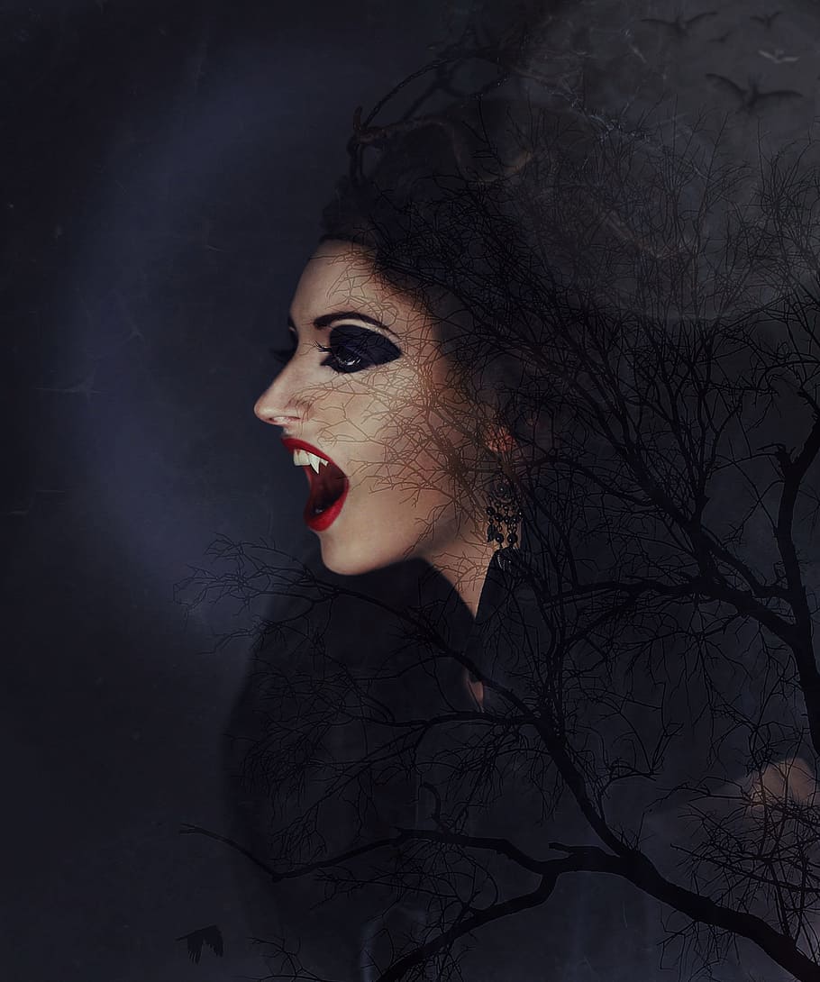 fotografi, wallpaper wanita vampir, vampir, wanita vampir, bentuk malam, bulan purnama, kelelawar, pohon, estetika, malam