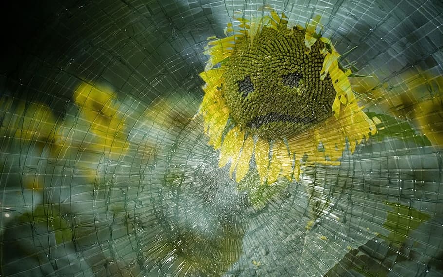 yellow, sunflower, face, broken, glass illustration, sad, glass, sadness, disappointment, loss