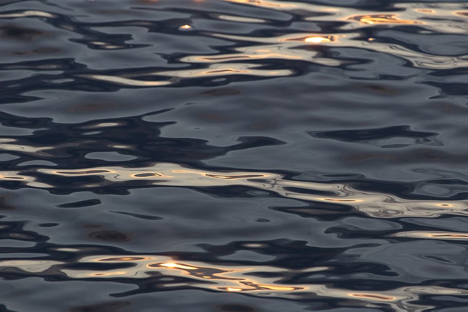 rippled, water, lake, waves, sunlight, reflections, current, drift, nature, natural