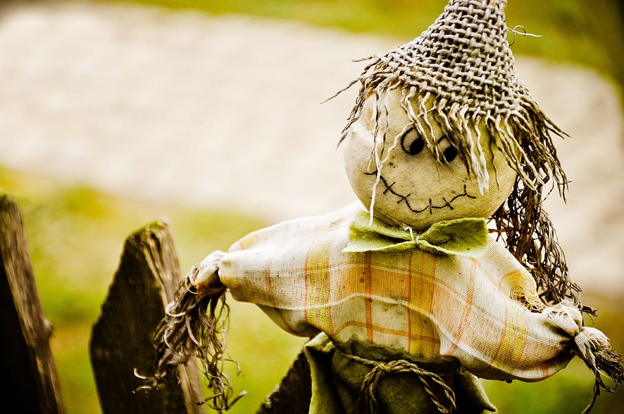 Doll, Bad, Witch, Rag, nature, outdoors, focus on foreground, one animal, day, close-up