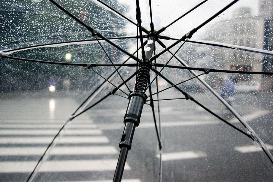 umbrella, rain, cold, wet, weather, urban, raindrop, black, flu, clear