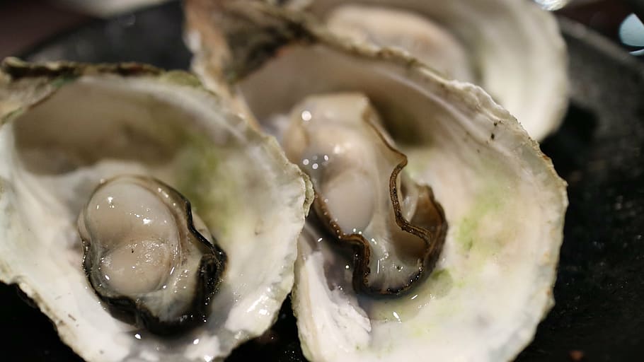 closeup, oysters, oyster, shell, clams, dry bay, seafood, sea products, barbecue, food and drink