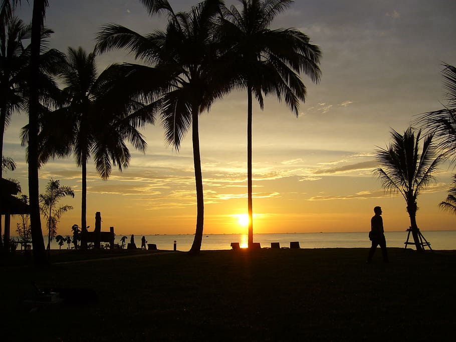 夕日 ビーチ ヤシの木 海岸 平和 日光 夕方 ビーチの夕日 シルエット 日没 Pxfuel