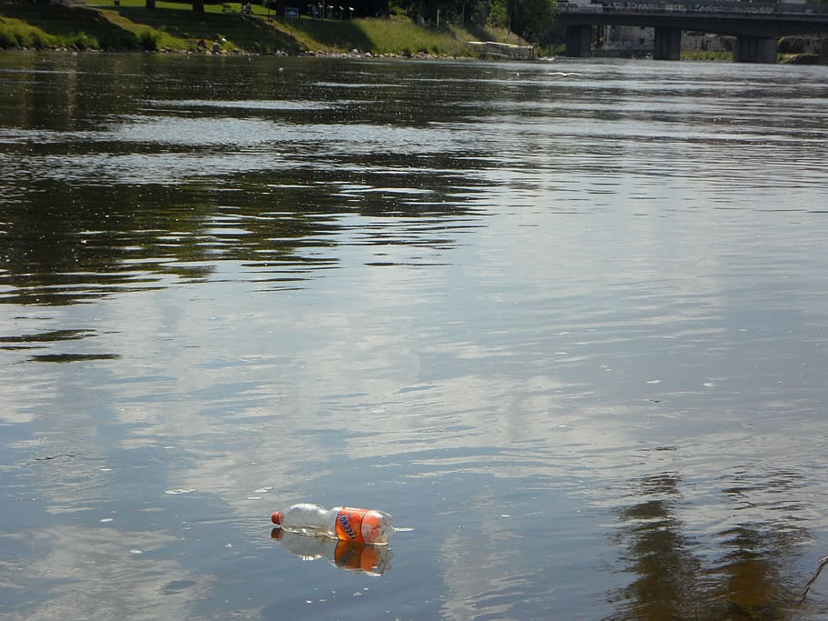 clear, plastic bottle, floating, body, water, pollution, garbage, thrown away, waste, disposed of