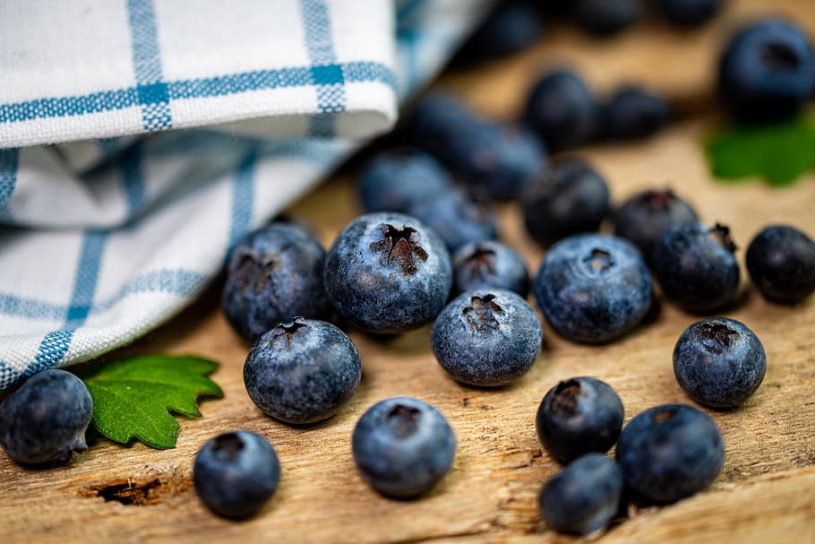 blueberries, harvest, fruit, food, fresh, healthy, berries, nutrition, fruits, summer