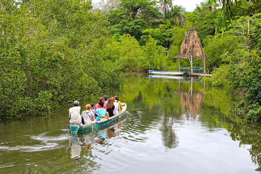 river-trip-tropical-green-water.jpg