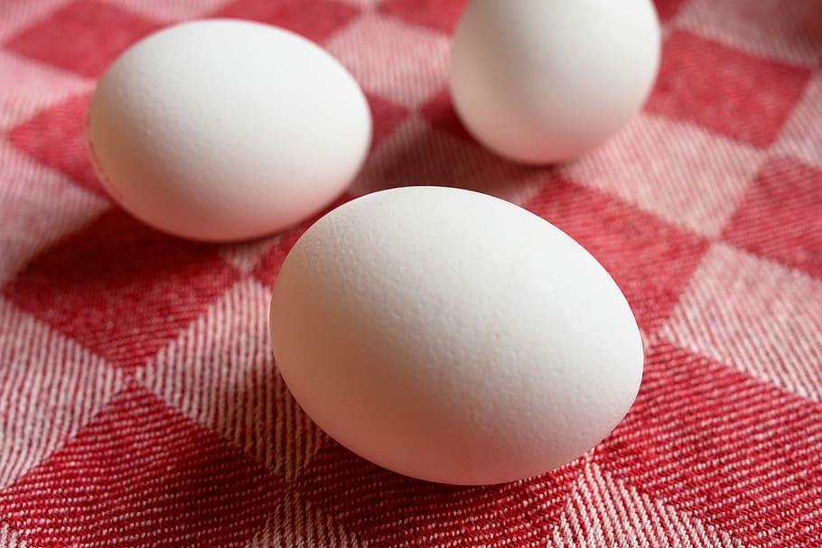 three, white, eggs, red, checkered textile, egg, food, nutrition, animal protein, yolk