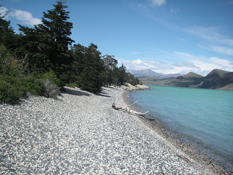 Chile, praia, lago glacial, beleza na natureza, paisagens - natureza, árvore, cena tranquila, céu, tranquilidade, planta