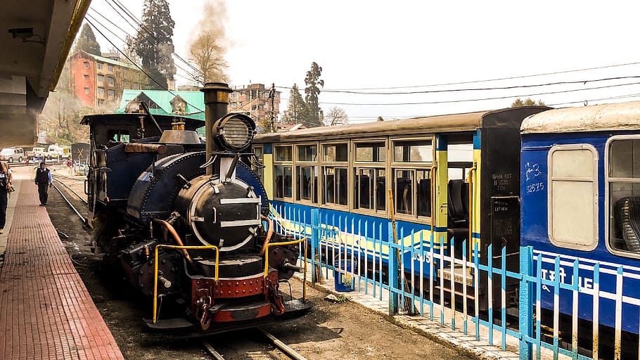 person, standing, train, toy train, darjeeling, smoke, coal train, engine, train engine, old