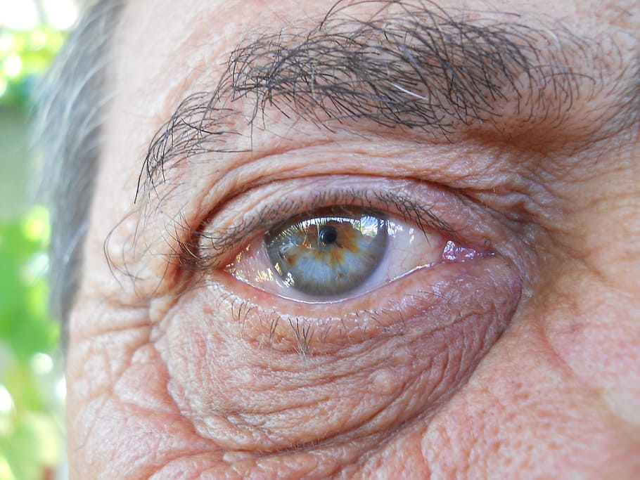 person's right eye, eye, blue, gene, coloring, beauty, old, age, old age, iris