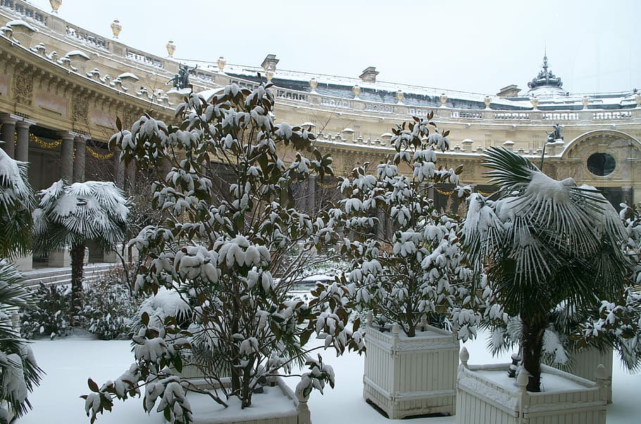 paris, france, winter, snow, ice, palace, landmark, plants, potted, nature