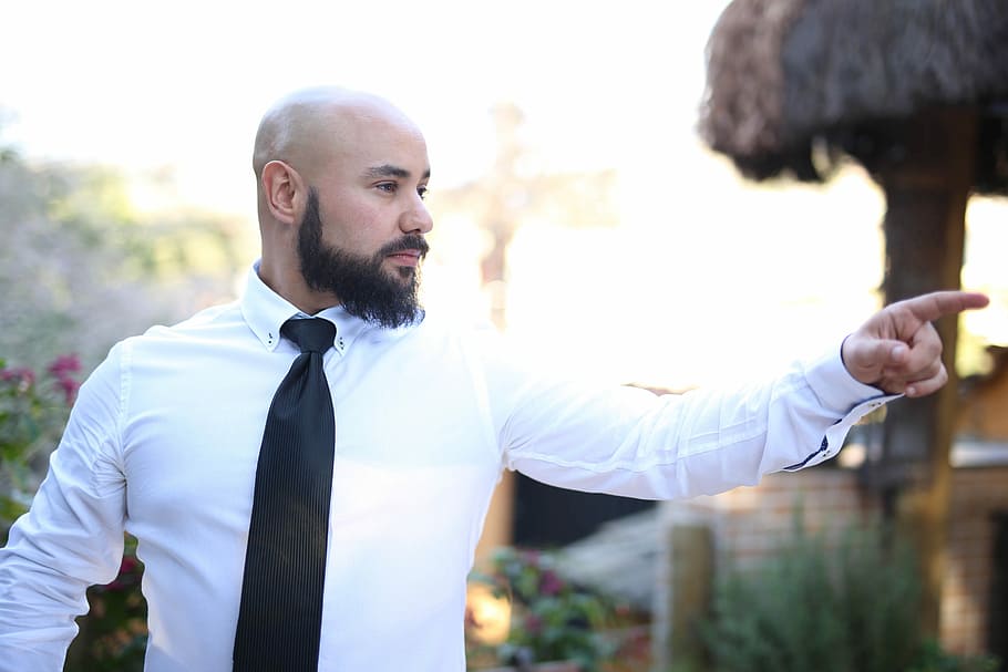 determination, vision, man, bald, beard, pointing, executive, black tie, white shirt, one person