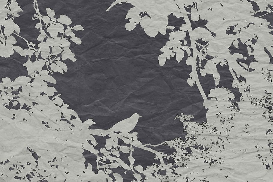black, white, bird silhouette, graphic, textile, veiling, effect, bird, branch, vector