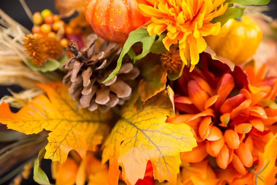 marrón, cono de pino, naranja, ramo de flores de pétalos, flores de otoño, flores de acción de gracias, otoño, acción de gracias, temporada, jardín