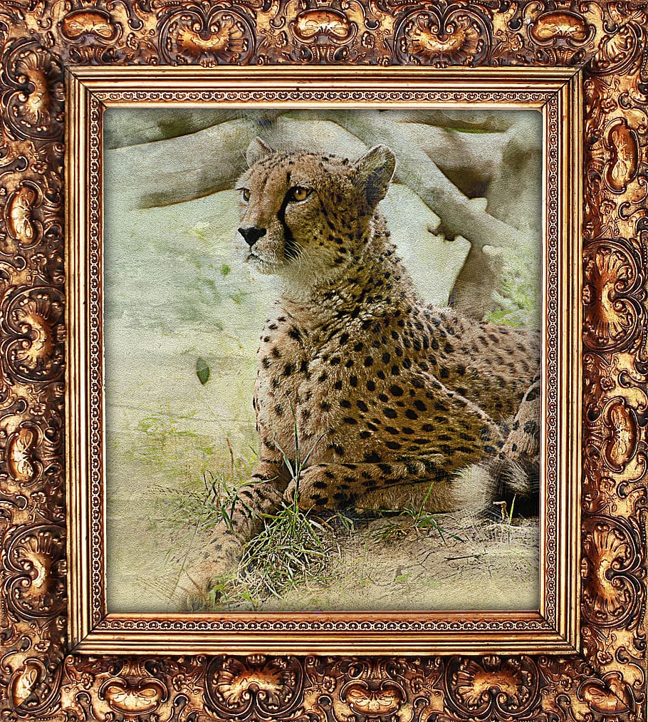 art, wood, frame, retro, baguette, jaguar, the picture with the leopard, photo frame, wooden frame, gilding