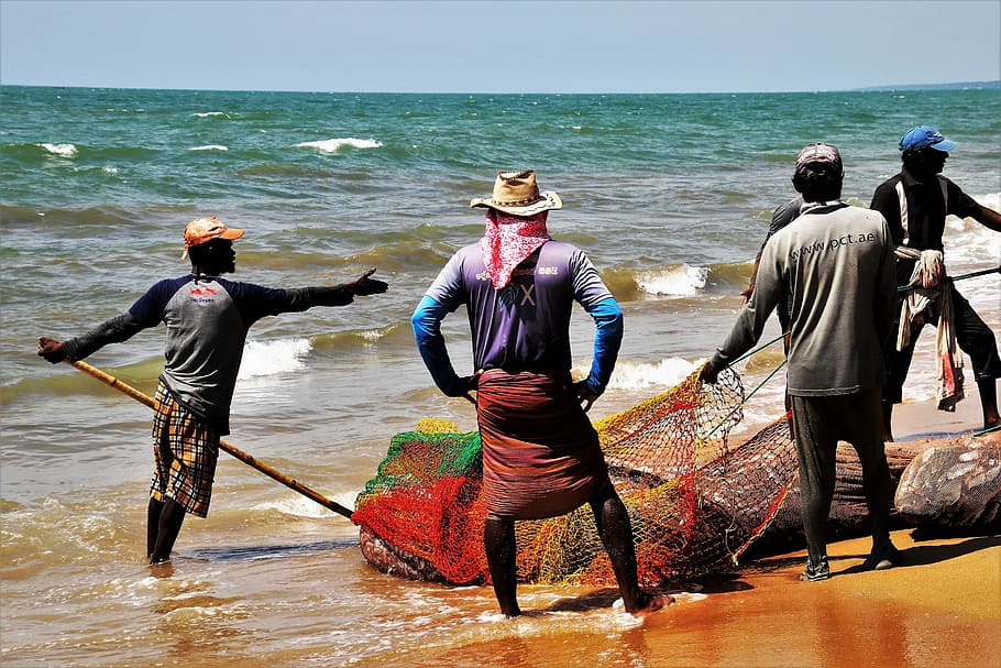 grupo, homem, captura, peixe, rede, pescadores, corda, boné, oceano índico, trabalho