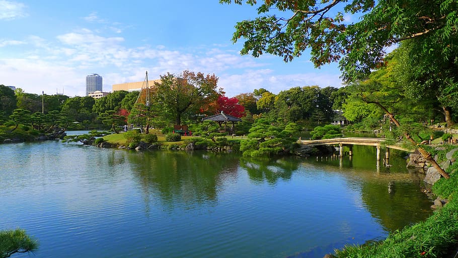 Japón, superficie del agua, 清澄 庭園, agua, natural, silencio, planta, harumi, hermosas vistas, parque