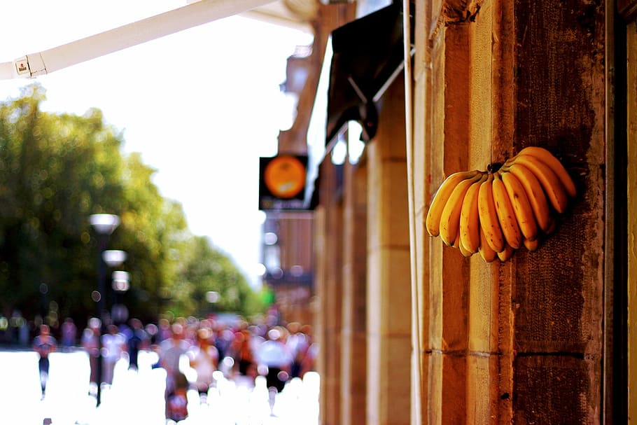 plátano, fruta, amarillo, frutas, arbusto de plátano, exterior del edificio, arquitectura, estructura construida, comida y bebida, día
