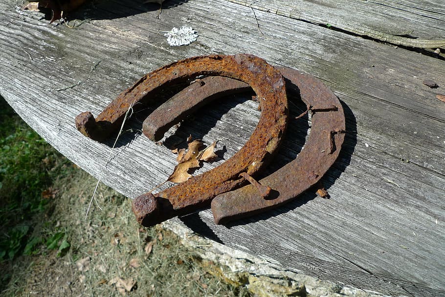 rustic, farm, rural, horseshoe, retro, wooden, horse, rusty, metal, western