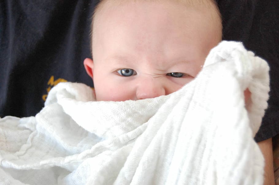 toddler covering blanket, baby, hiding, peekaboo, cute, child, kid, hide, happy, face
