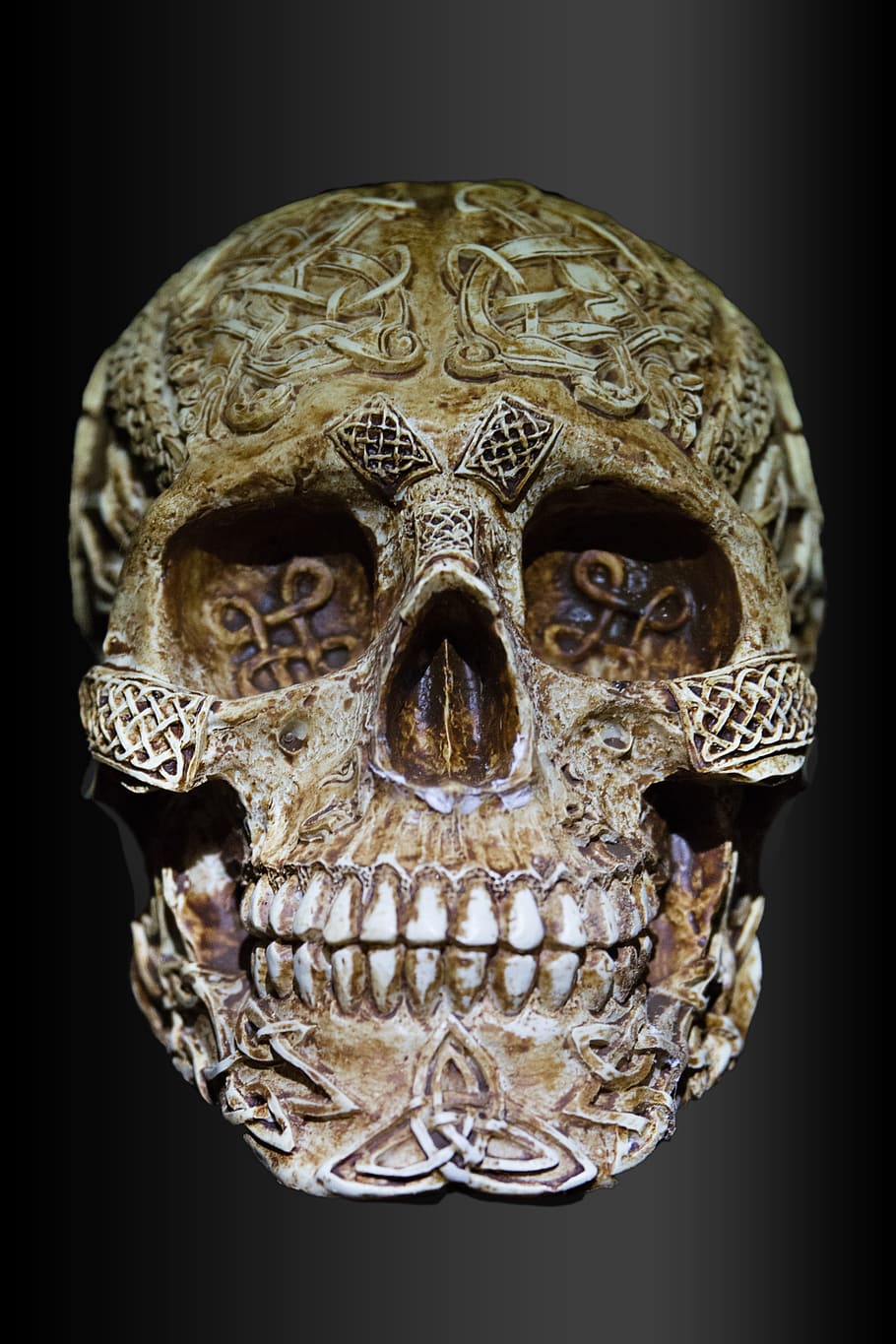 beige, engrave, skull decor, skull and crossbones, celts, celtic skull, black background, studio shot, art and craft, close-up