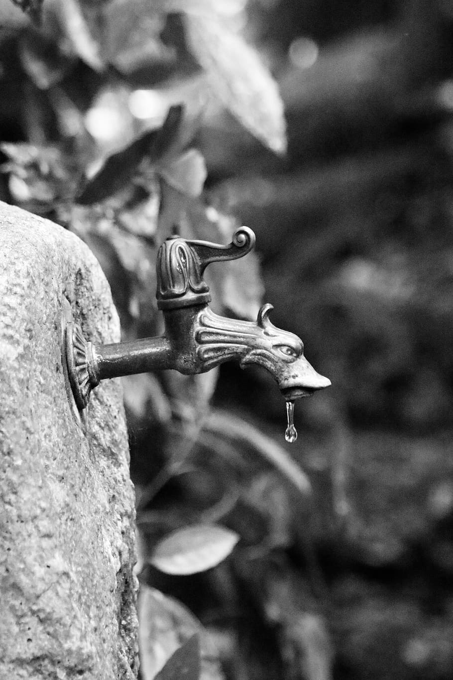 faucet, old, well water, dripping, water, tap, metal, drop, rusty, valve