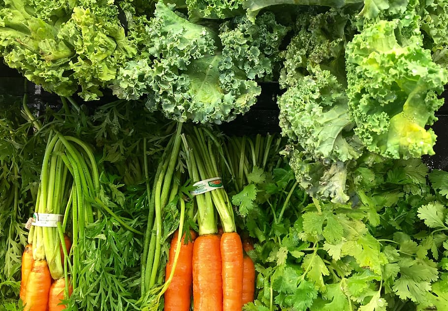vegetables, carrots, kale, cilantro, coriander, produce, fresh, grocery store, healthy, nutritious