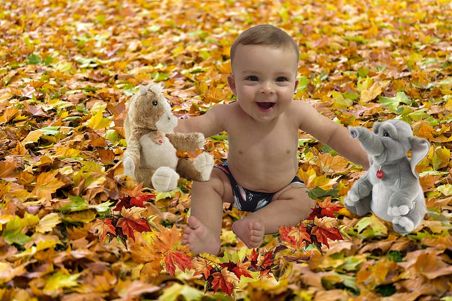 Anak, kekanak-kanakan, bayi, bahagia, anak laki-laki, bermain anak, bermain, lucu, musim gugur, di luar rumah