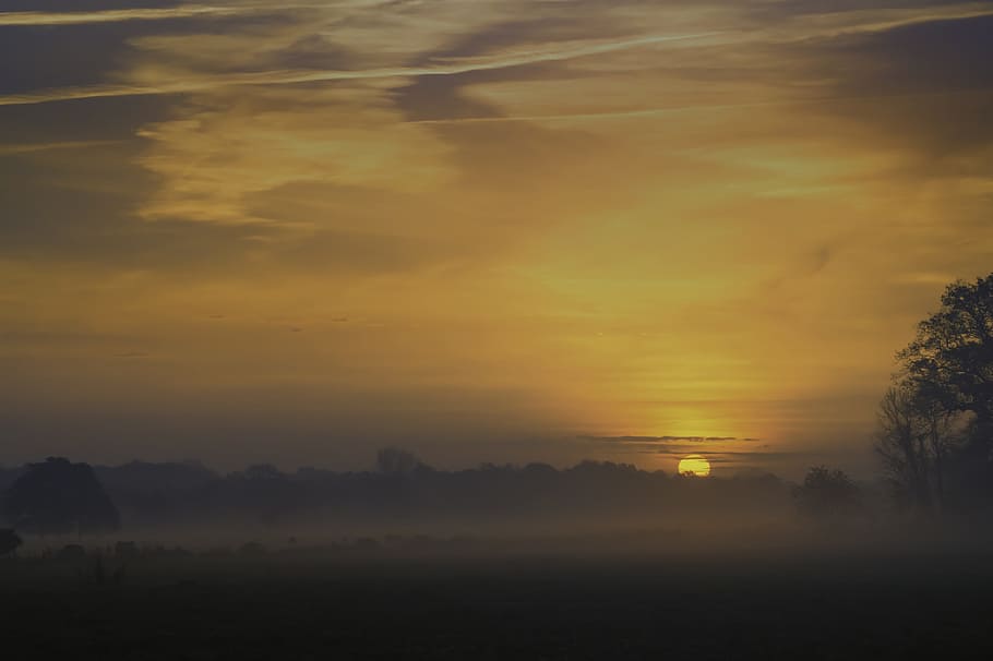 sunrise, nature, landscape, fog, mood, sun, back light, morgenstimmung, morning, skies