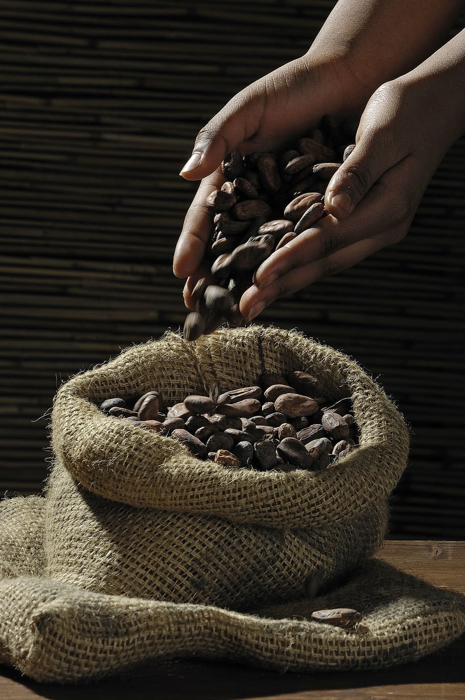 person, holding, brown, seeds, cocoa beans, cocoa, cacao, candy, chocolate, human hand