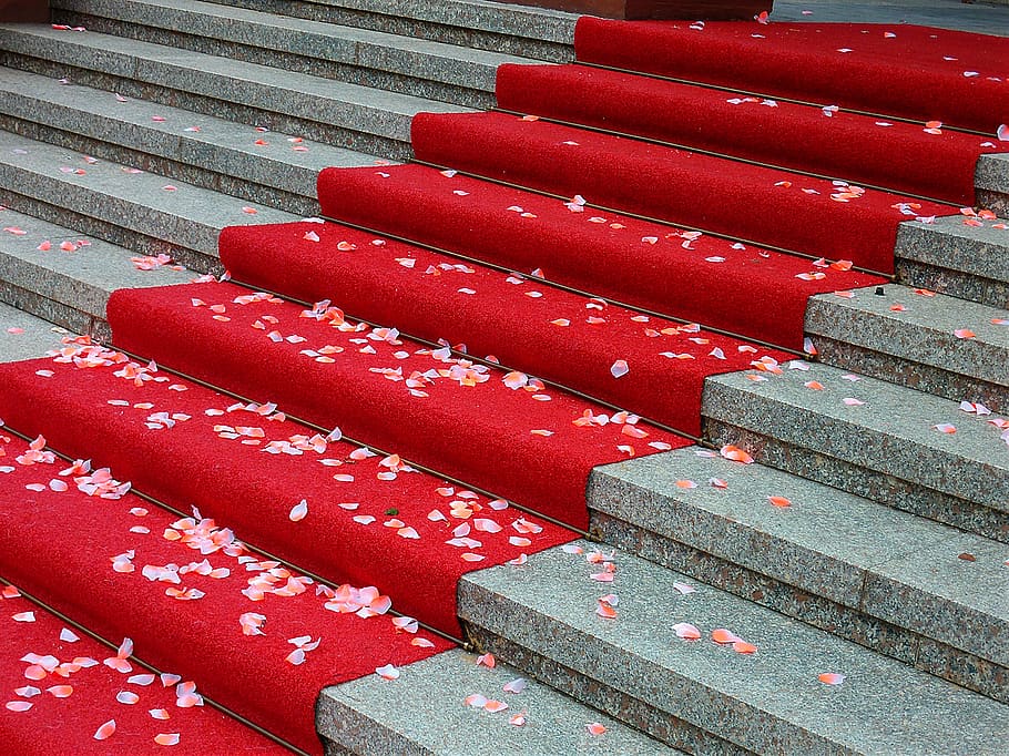 red carpet, ambience, floor coverings, decoration, color, live, red, summer, carpet, staircase