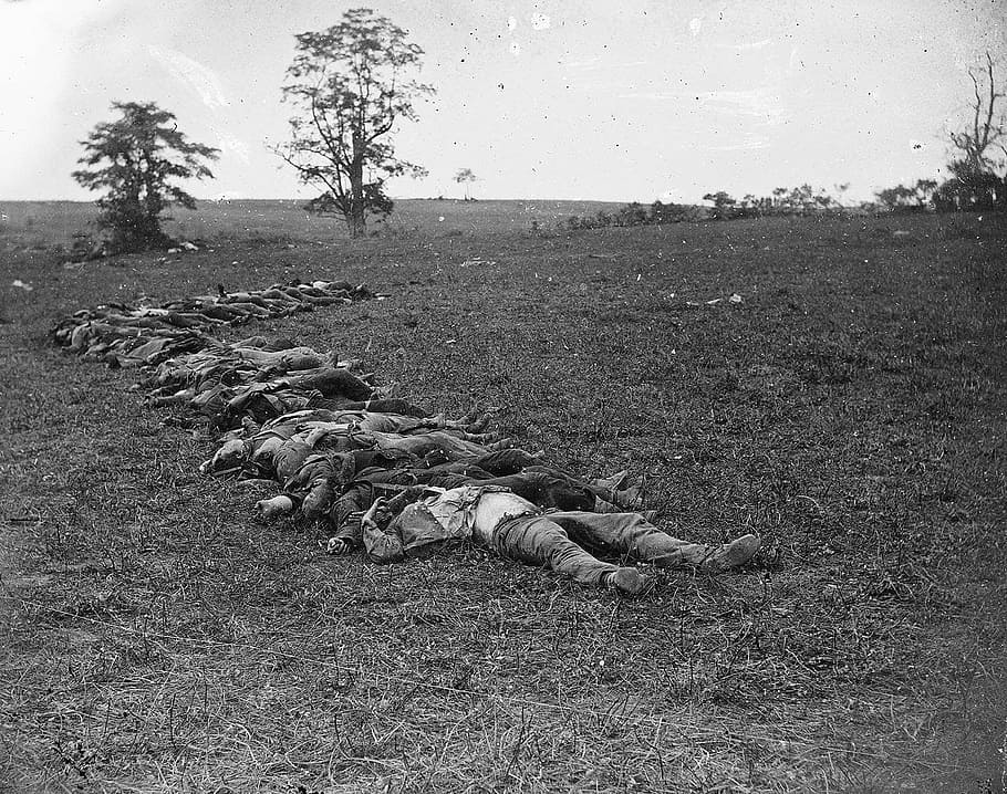 reunidos, confederados, muertos, entierro, campo de batalla de Antietam, Maryland, víctimas de la guerra, guerra civil, soldados muertos, foto