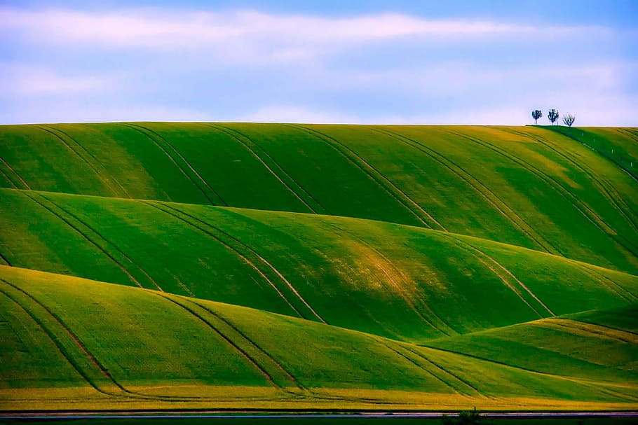 緑の草の山, チェコ共和国, 風景, フィールド, 草原, 風光明媚な自然, 屋外, 木, 国, 田舎