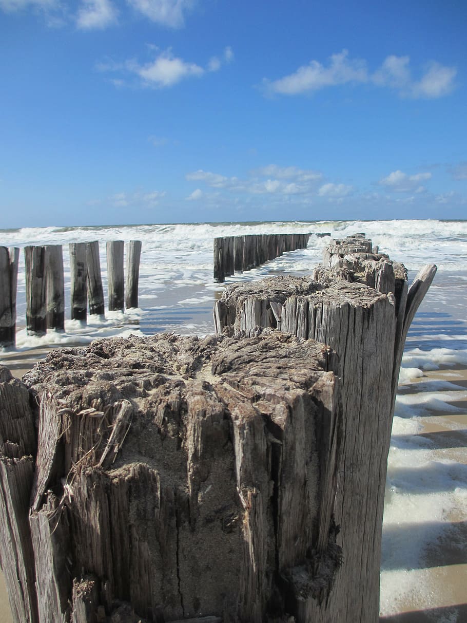 poste de amarração, onda, costa, agua, praia, mar, natureza, azul, estacas de madeira, marítimo