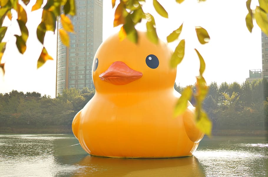 giant, yellow, inflatable duck, body, water, trees, day, rubber duck, duck, doll