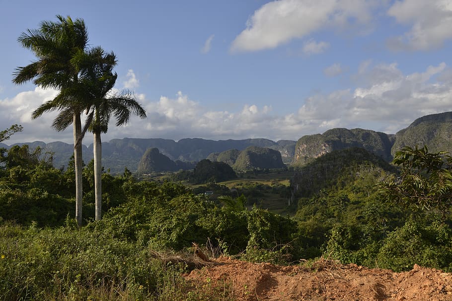 cuba, viñales valley, landscape, nature, plant, tree, sky, beauty in nature, tranquil scene, tranquility