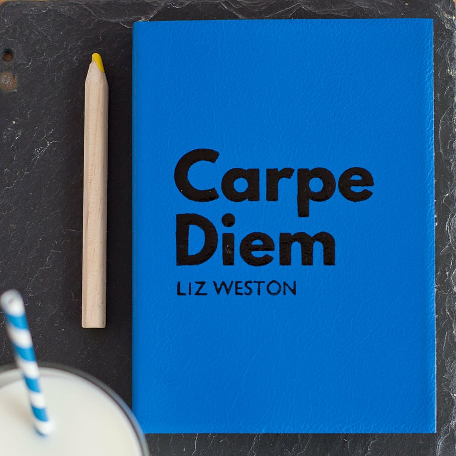黄色, 鉛筆, 横, carpe, diem, liz weston book, liz, weston, box, still