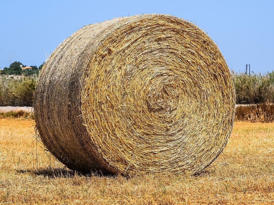 straw, hay, agriculture, nature, landscape, field, bale, rural, countryside, hayfield