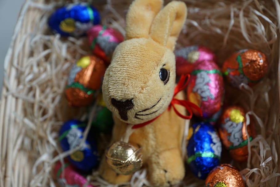 easter, rabbit, egg, festival, chocolate, animal, spring, easter eggs, stuffed toy, art and craft
